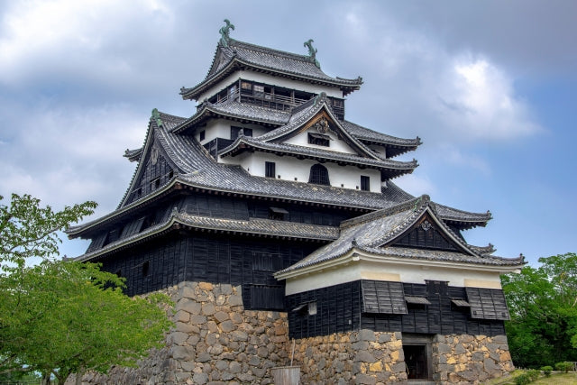 The History of Matcha in Japan: A Cultural Legacy Rooted in Zen and Aesthetics